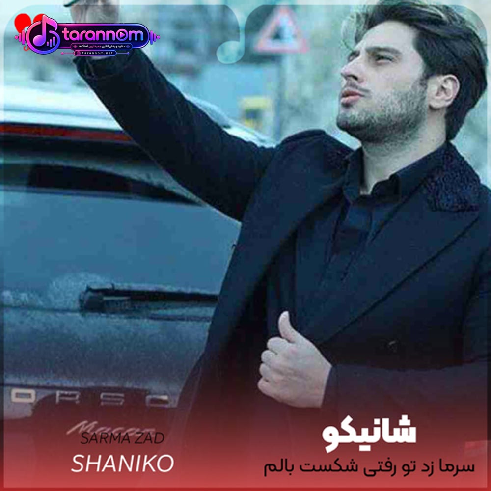 سرما زد تو رفتی شکست بالم