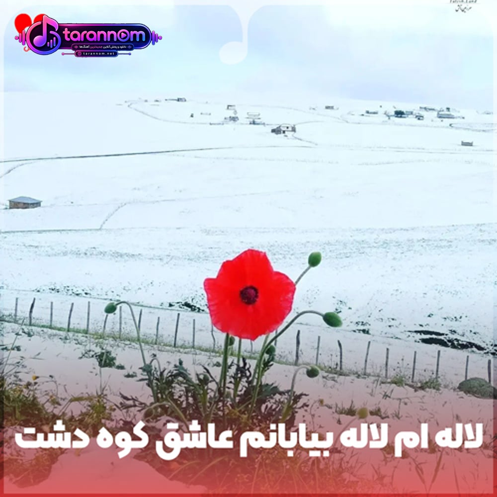 لاله ام لاله بیابانم عاشق کوه دشت دامانم