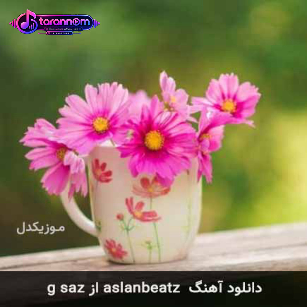 aslanbeatz