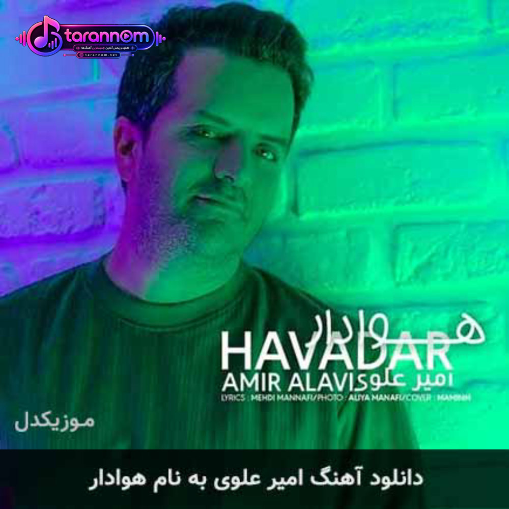 هوادار