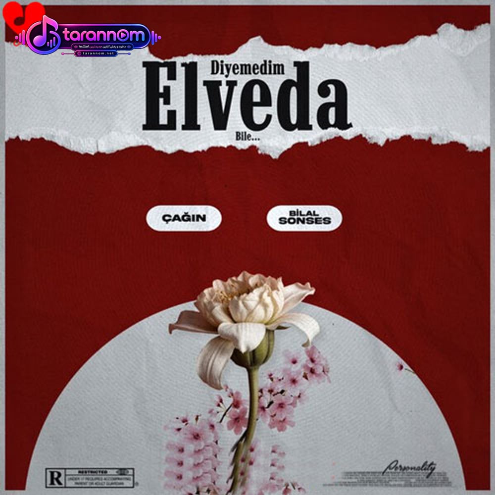 Diyemedim Elveda