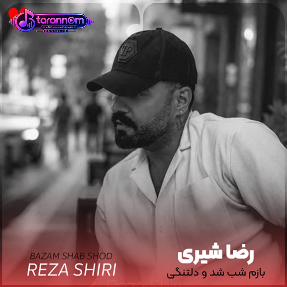 بازم شب شد و دلتنگی دیدی آخر گمم کردی