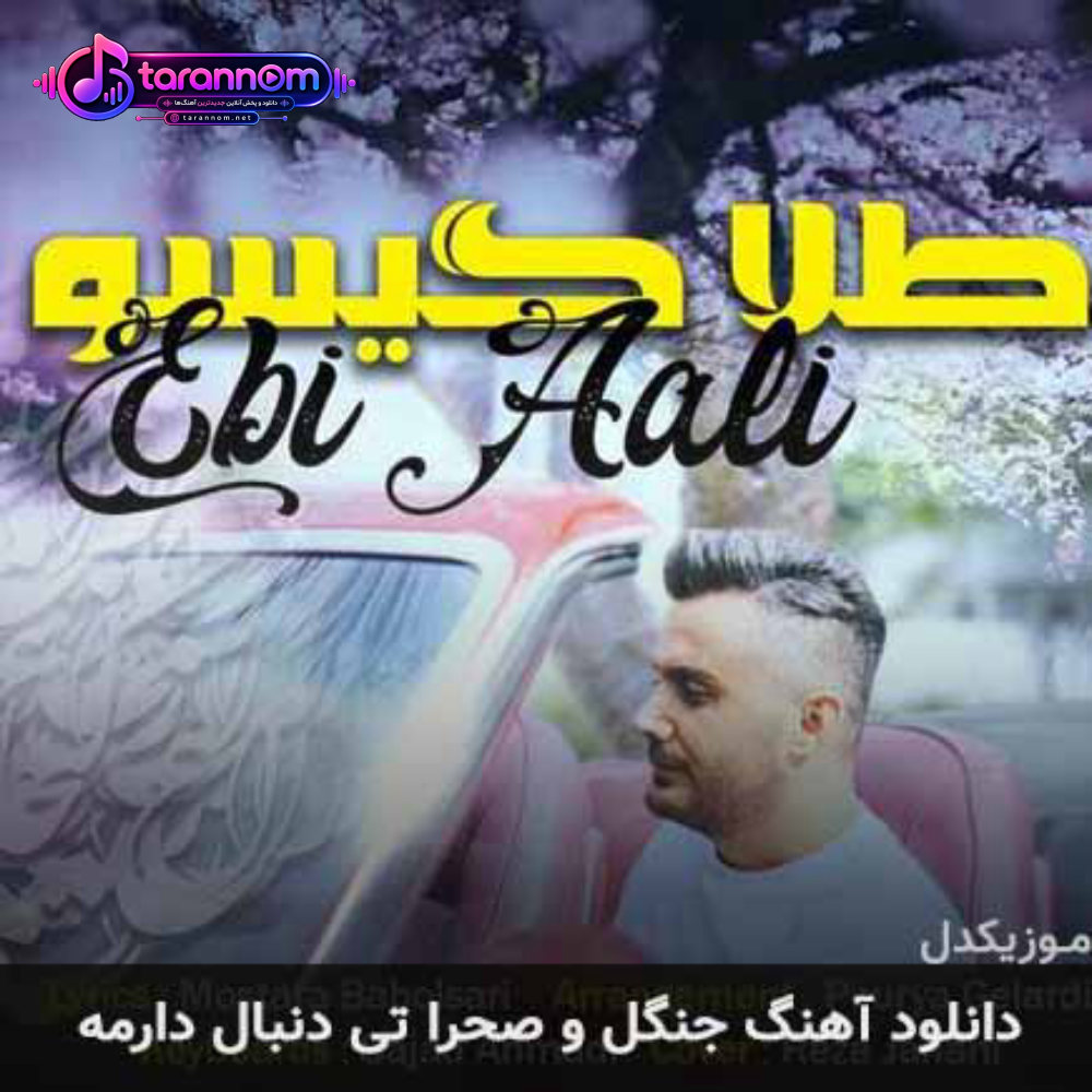جنگل و صحرا تی دنبال دارمه