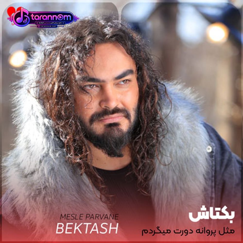 مثل پروانه دورت میگردم