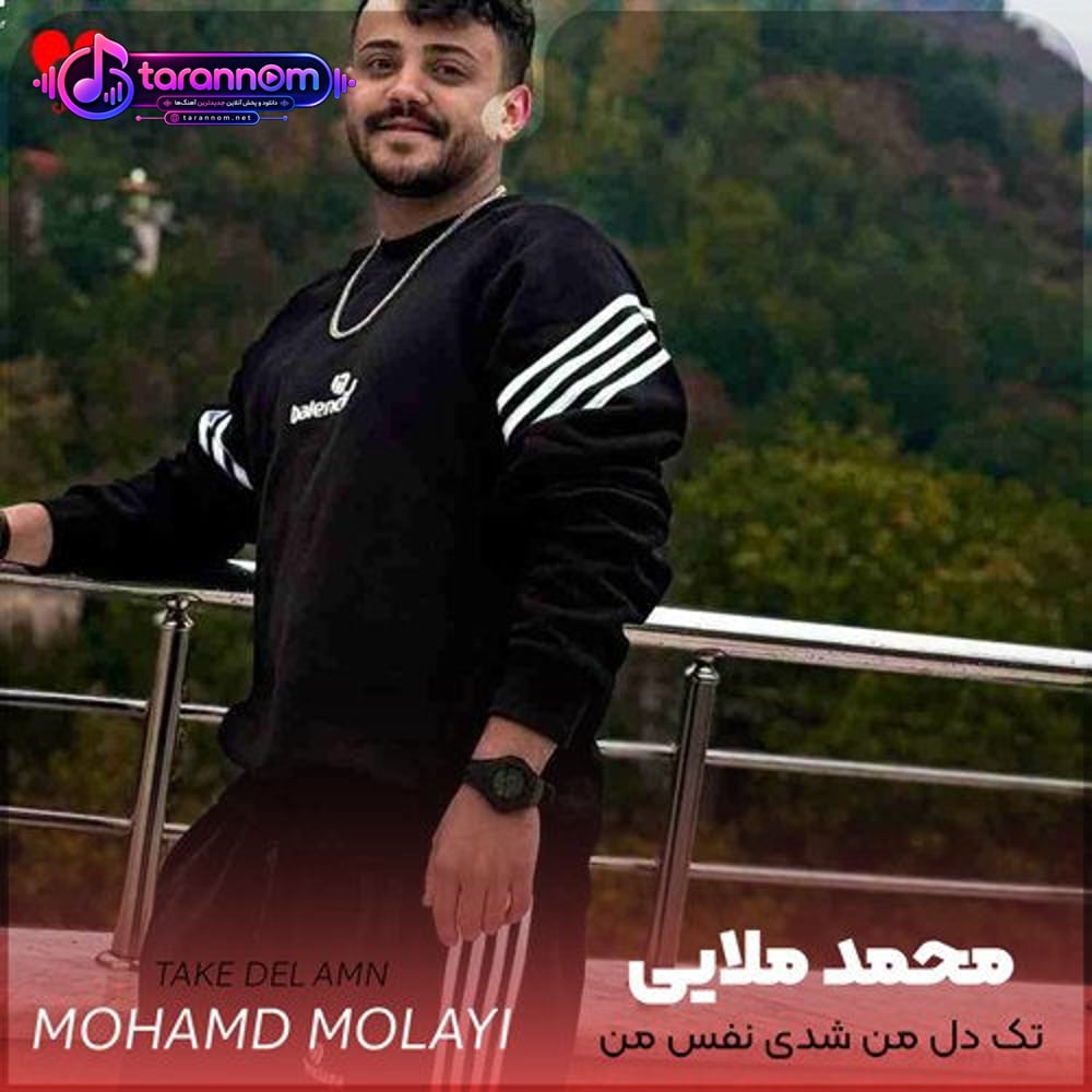 تک دل من شدی نفس من از این به بعد تویی همه کس من