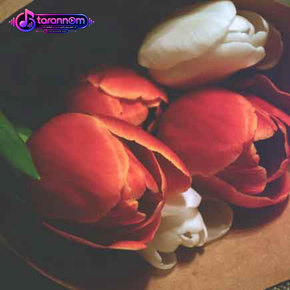 کلمه ها میبارن از روی اجبار