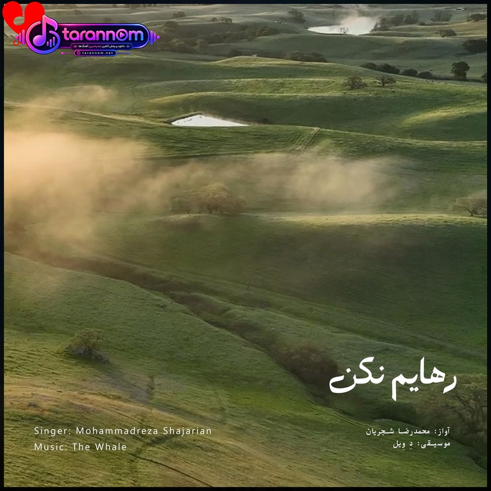 رهایم نکن (ریمیکس)