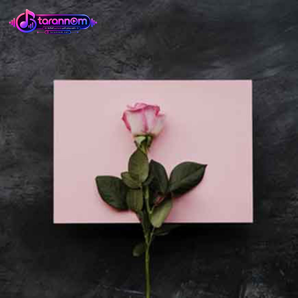 من همون دختر بد و بی حس