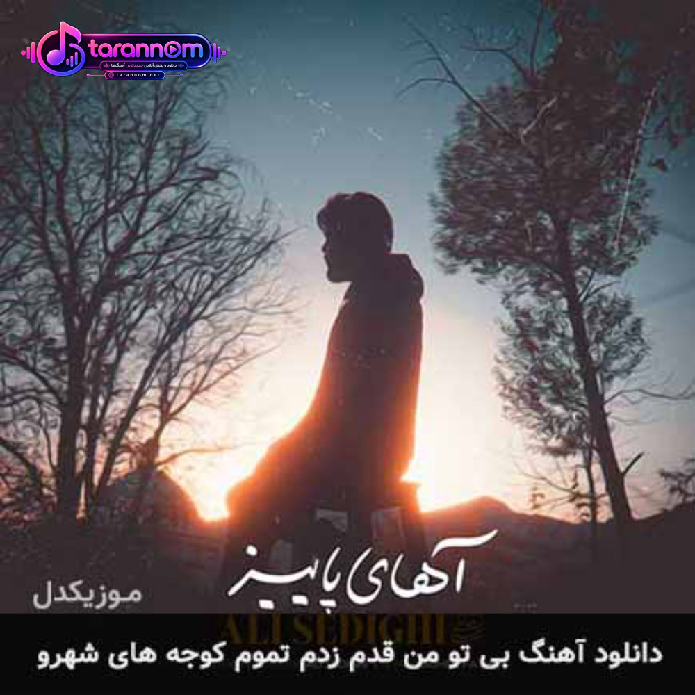 بی تو من قدم زدم تموم کوجه های شهرو