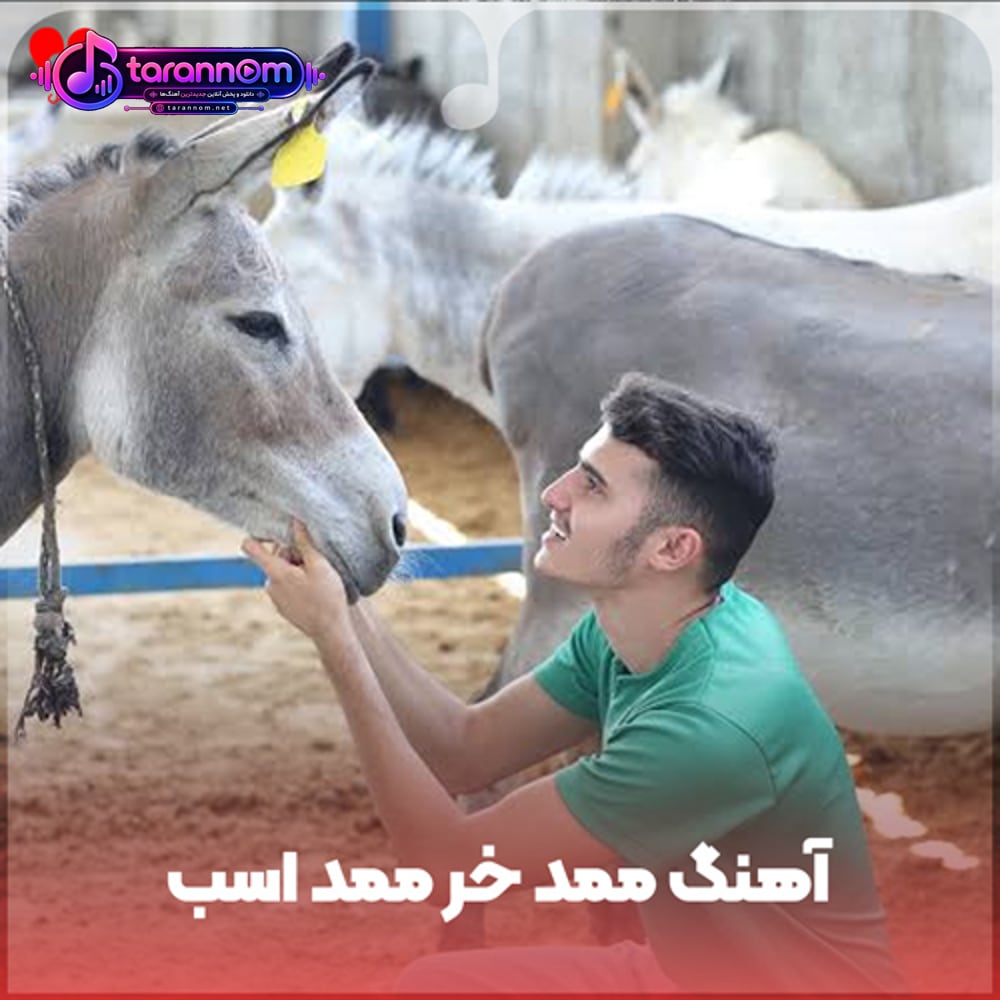 ممد خر ممد اسب ممد کم داره ممد زن میخواد (ریمیکس اینستاگرام)