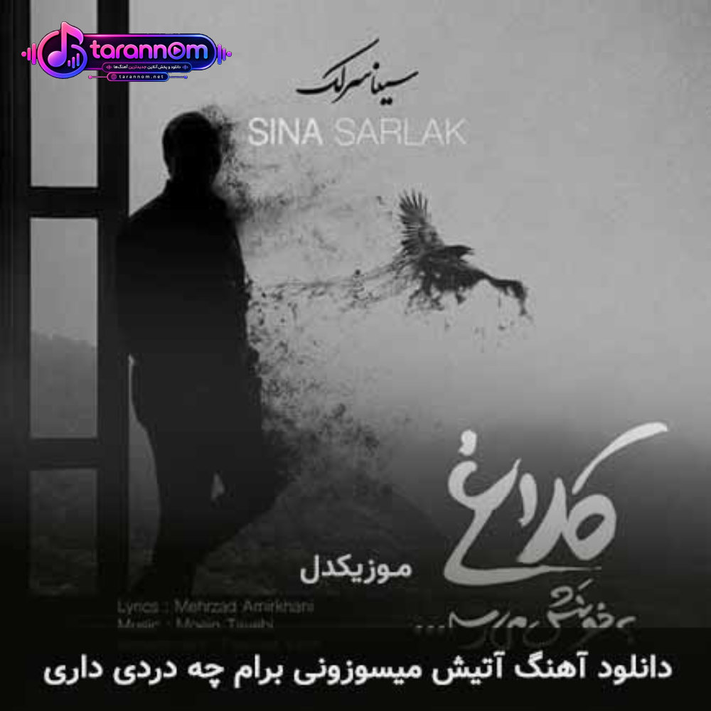 آتیش میسوزونی برام چه دردی داری