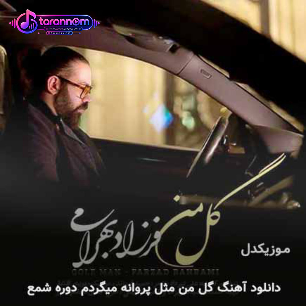 گل من مثل پروانه میگردم دور شمع