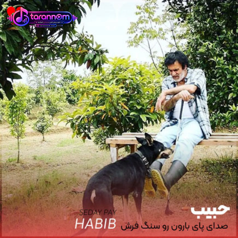 صدای پای بارون رو سنگ فرش خیابون