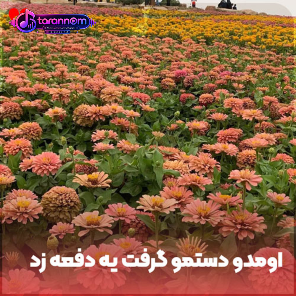 اومدو دستمو گرفت یه دفعه زد زیر دلش