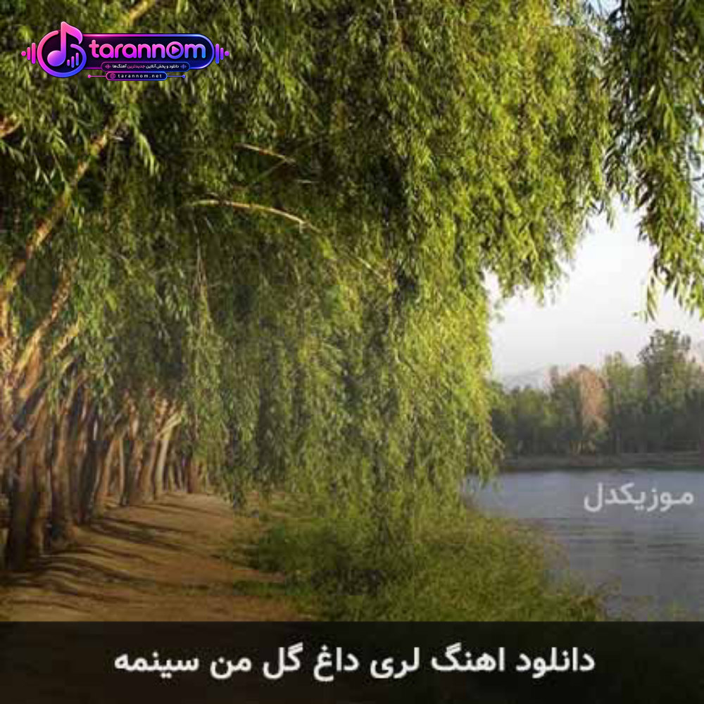 لری داغ گل من سینمه