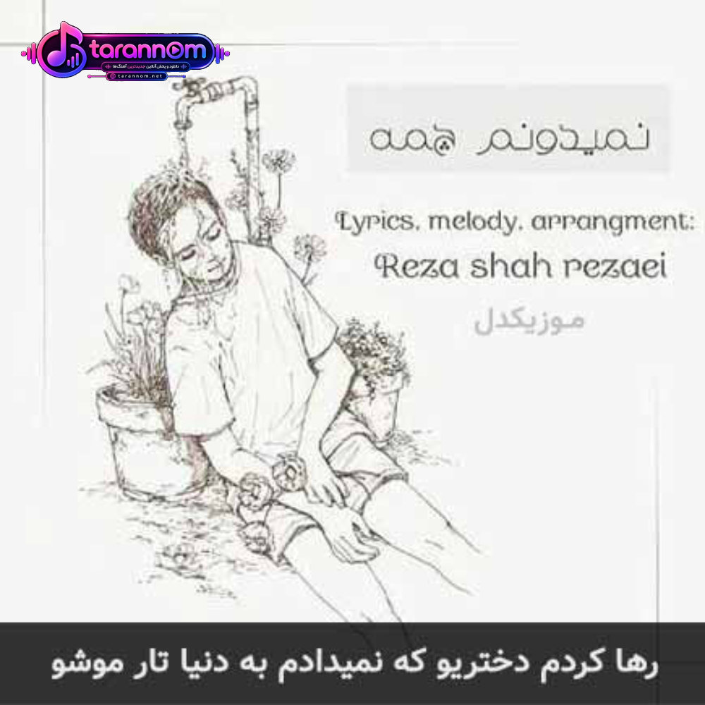 رها کردم دختریو که نمیدادم به دنیا تار موشو
