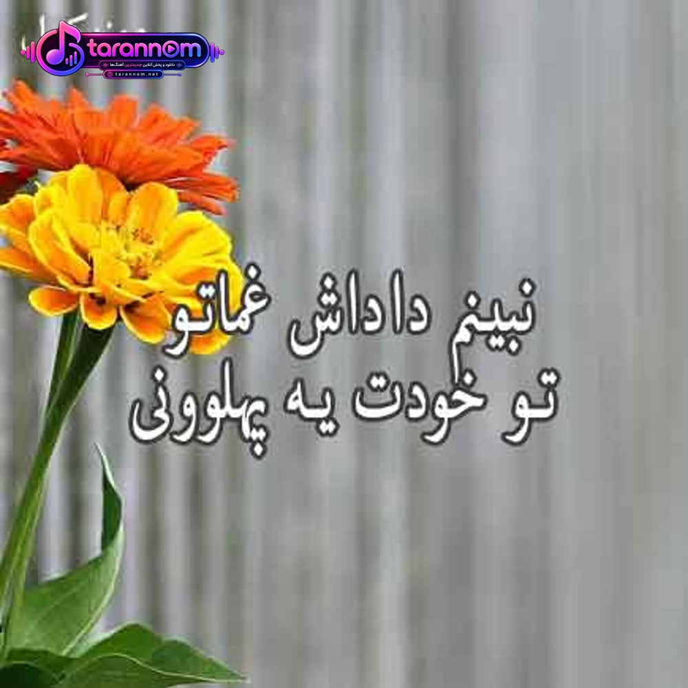 نبینم داداش غماتو