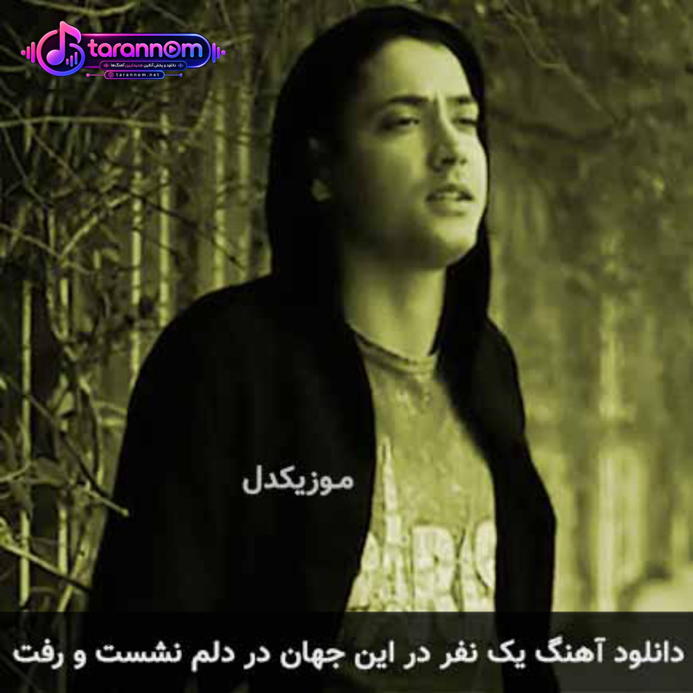 یک نفر در این جهان در دلم نشست و رفت