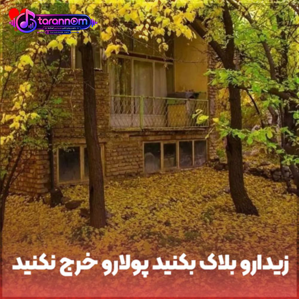 زیدارو بلاک بکنید پولارو خرج نکنید ولنتاین
