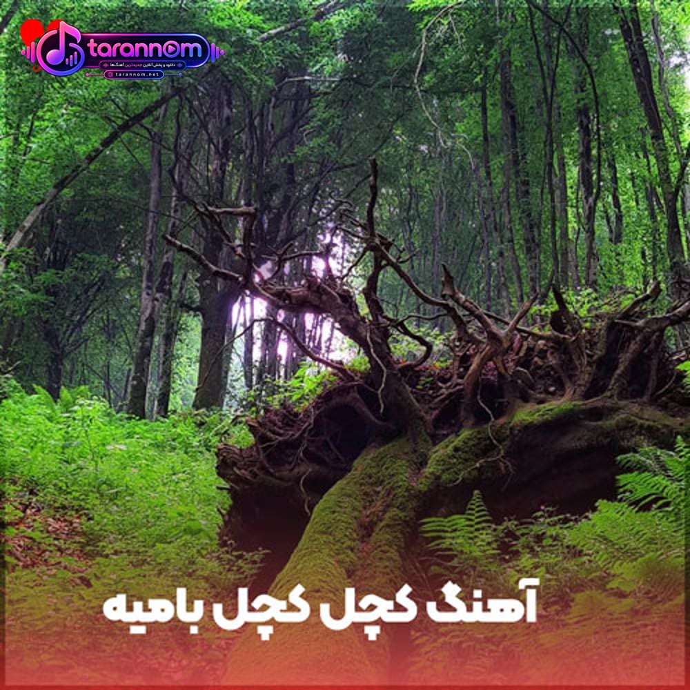 کچل کچل بامیه طنز ترکی