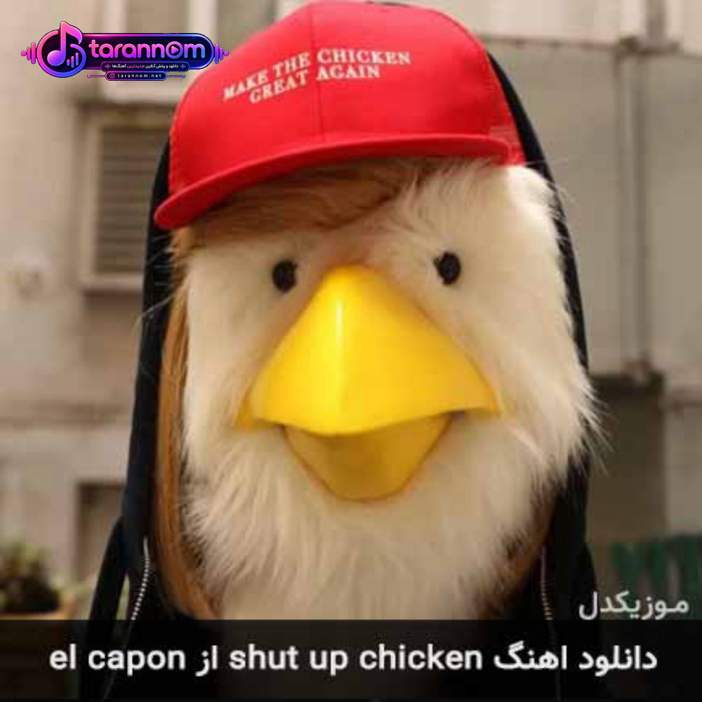 shut up chicken