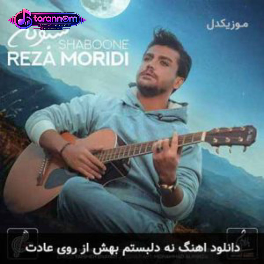 نه دلبستم بهش از روی عادت