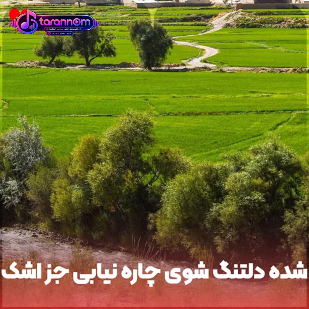 شده دلتنگ شوی چاره نیابی جز اشک