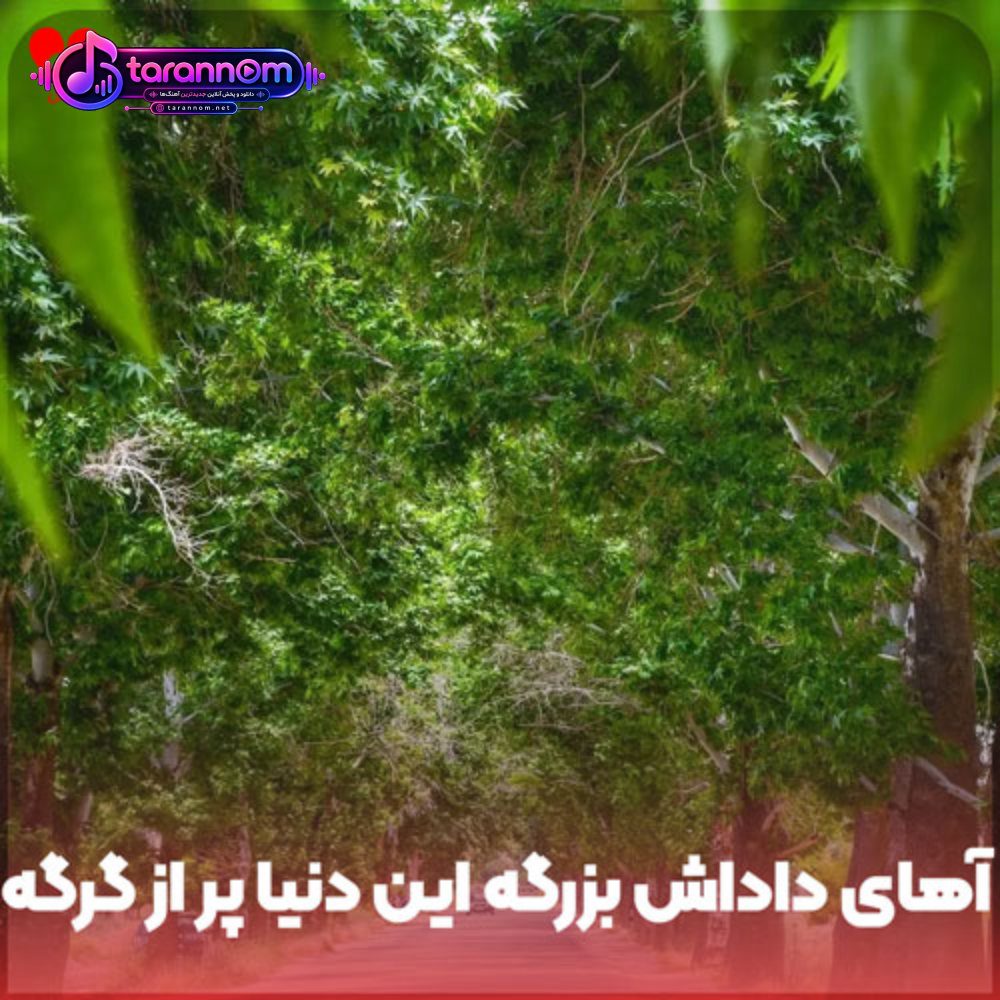 آهای داداش بزرگه این دنیا پر از گرگه