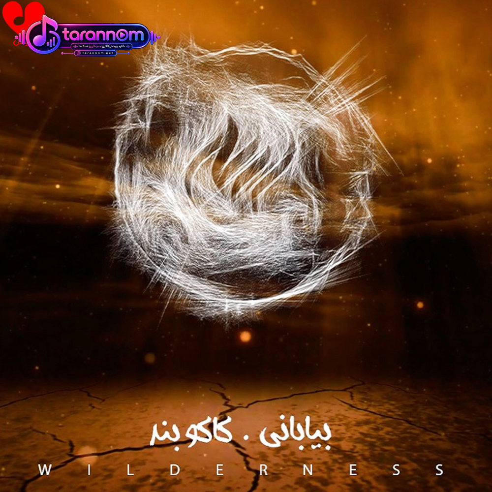 بیابانی Wilderness