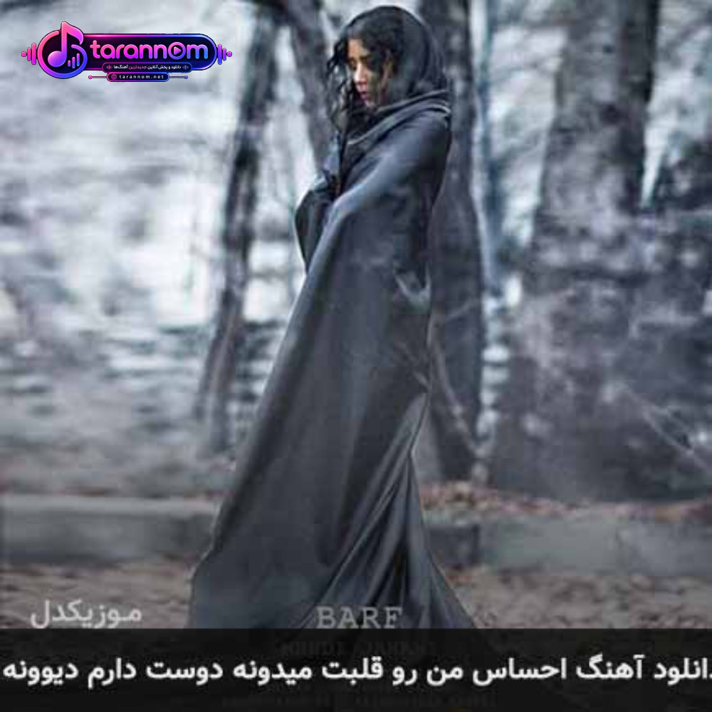 احساس من رو قلبت میدونه دوست دارم دیوونه