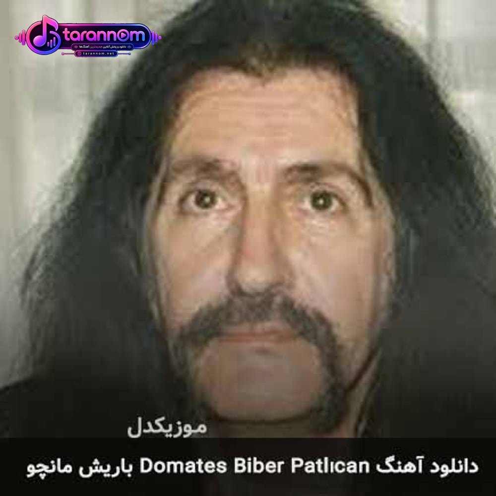 domates biber patlıcan