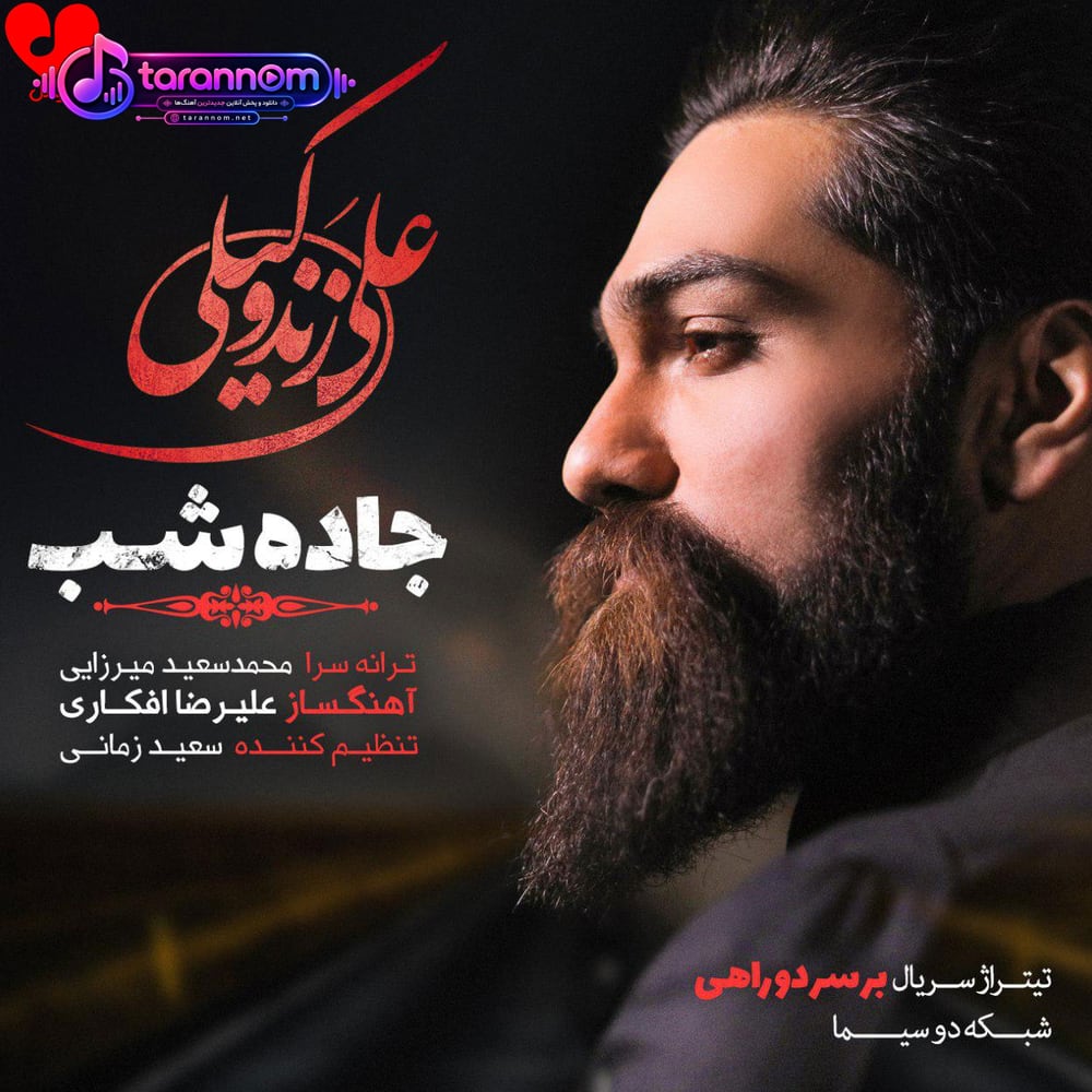جاده شب