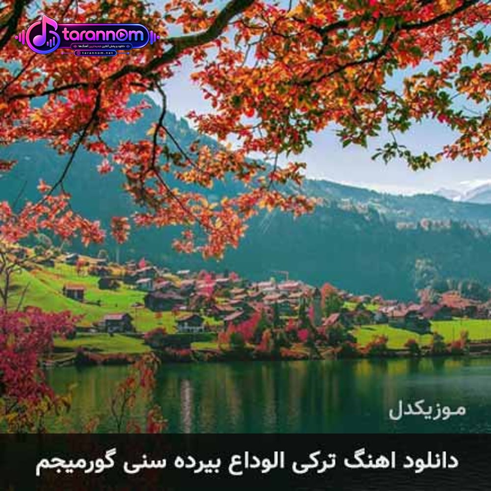 ترکی الوداع بیرده سنی گورمیجم