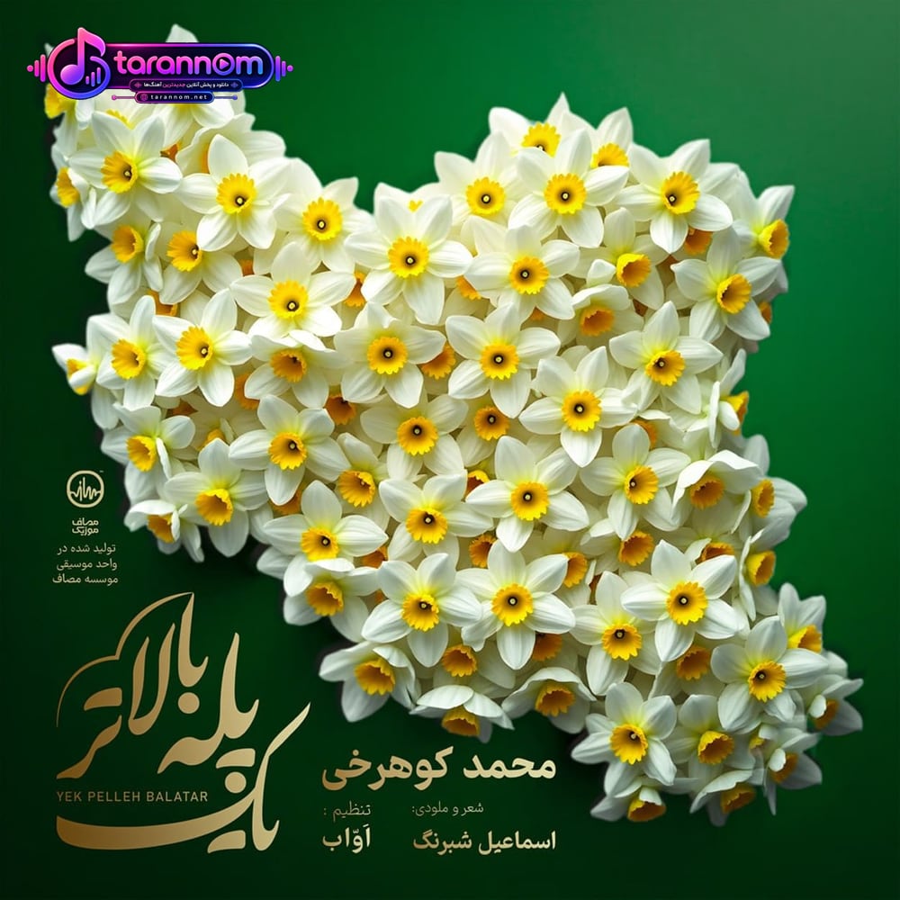 یک پله بالاتر