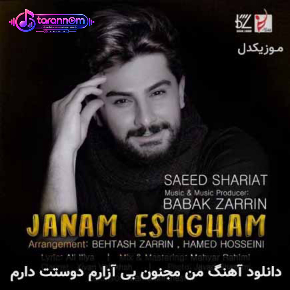 من مجنون بی آزارم دوستت دارم