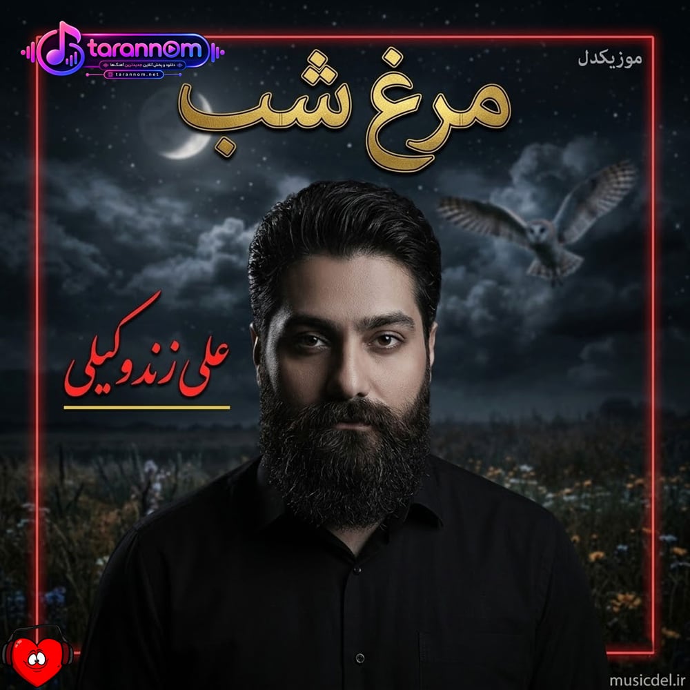 مرغ شب