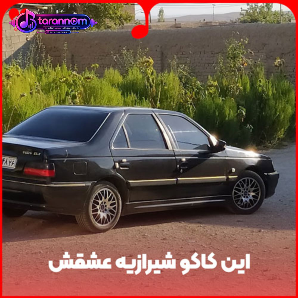 این کاکو شیرازیه عشقش ای ال ایکس مشکی