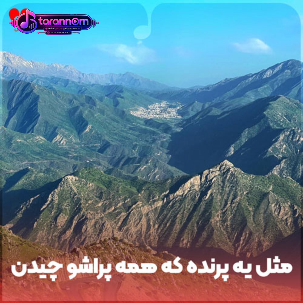 مثل یه پرنده که همه پراشو چیدن