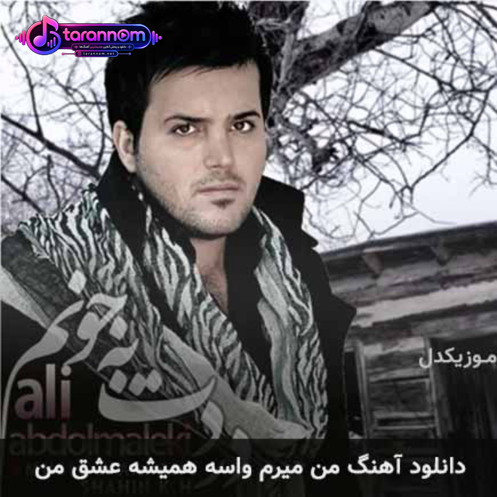 من میرم واسه همیشه عشق من