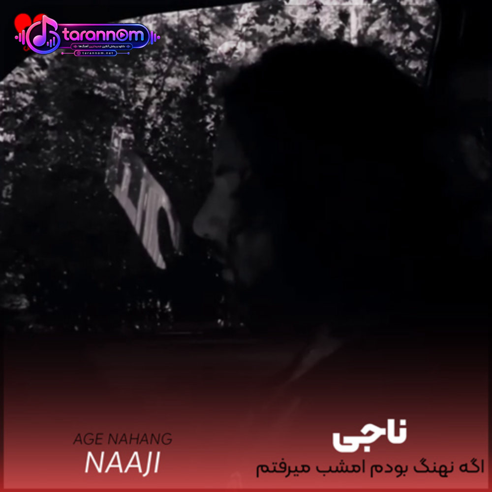 اگه نهنگ بودم امشب میرفتم ساحل