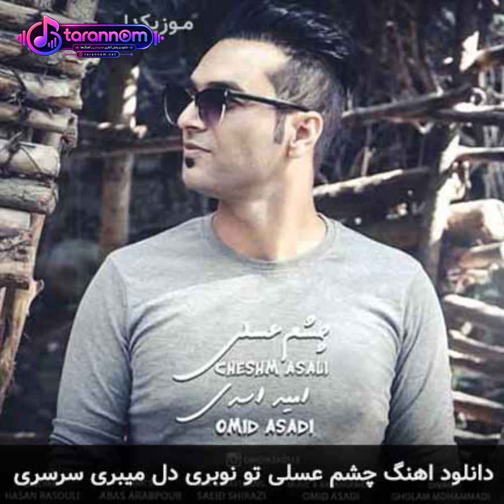 چشم عسلی تو نوبری دل میبری سرسری