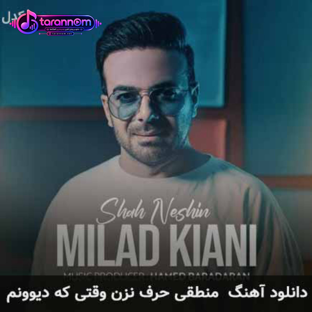 منطقی حرف نزن وقتی که دیوونم