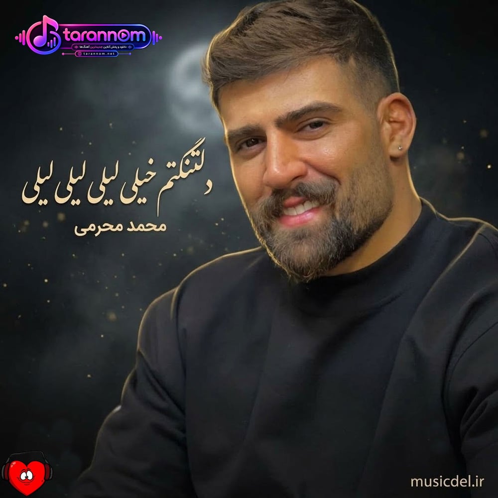 دلتنگتم خیلی لیلی لیلی لیلی تو که نباشی پیش من به زندگی میلی