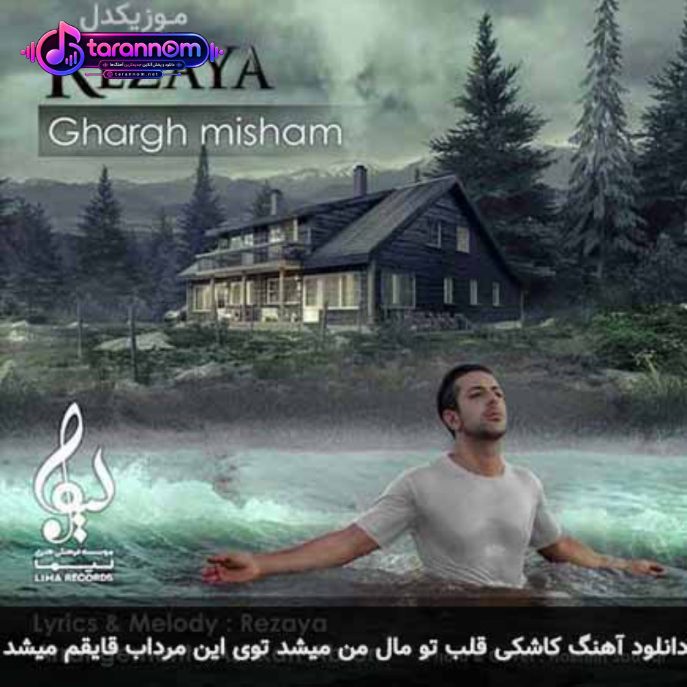 کاشکی قلب تو مال من میشد توی این مرداب قایقم میشد