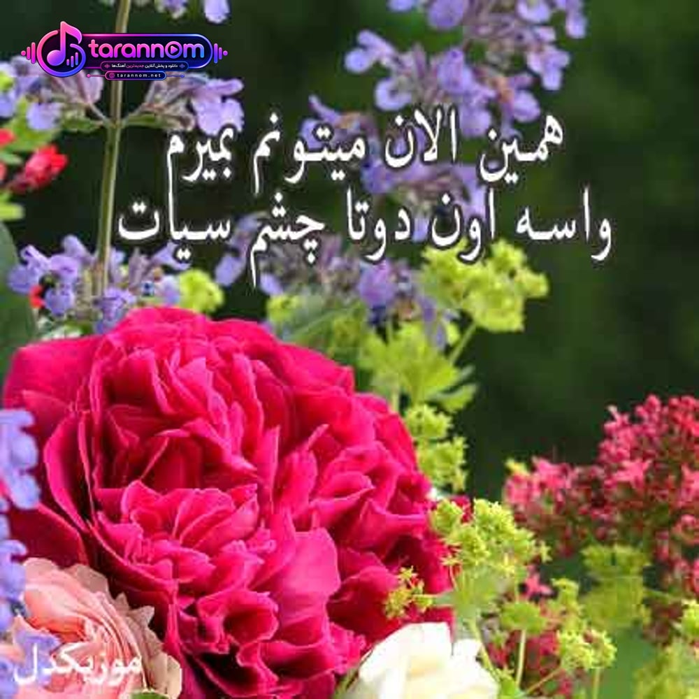 همین الان میتونم بمیرم