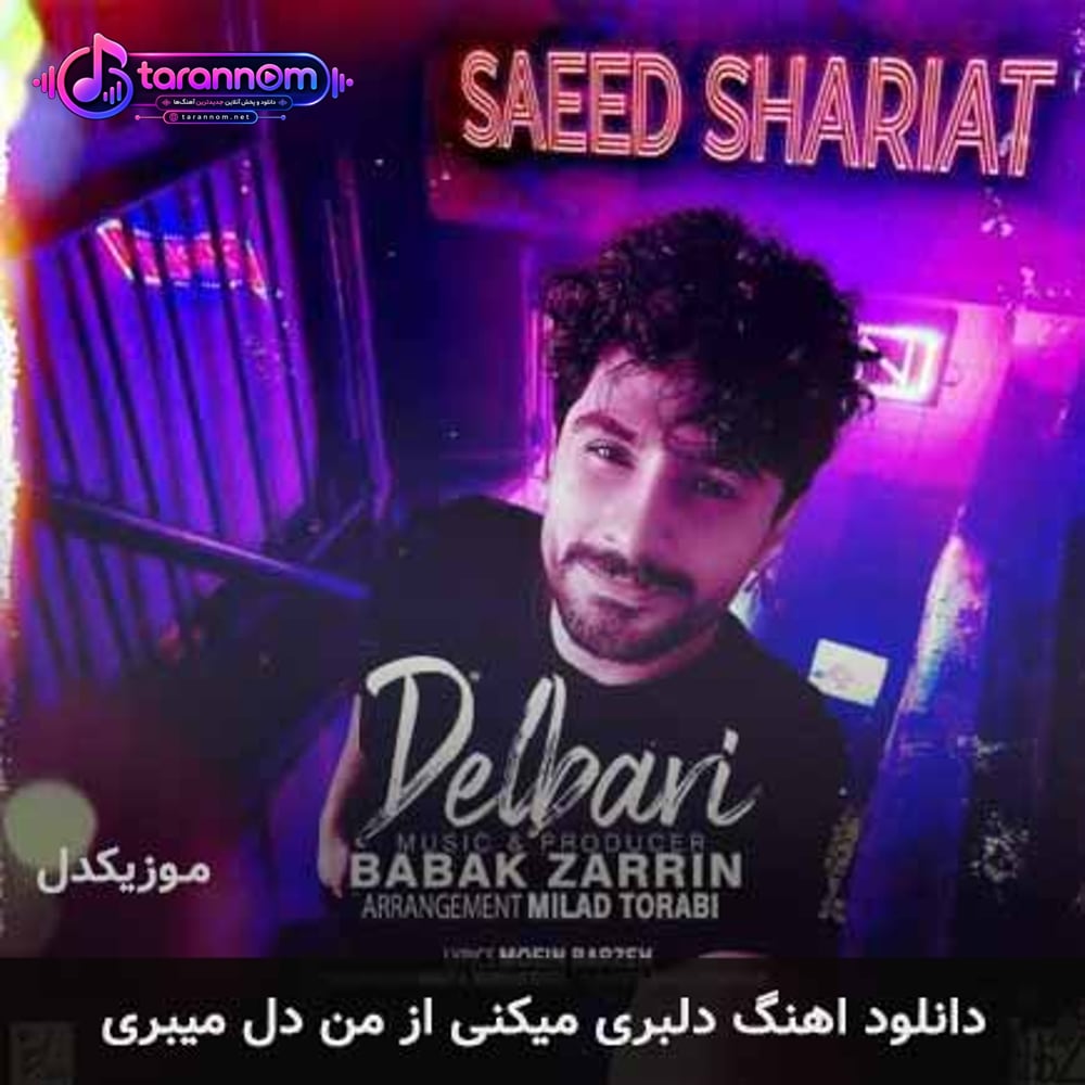 دلبری میکنی از من دل میبری
