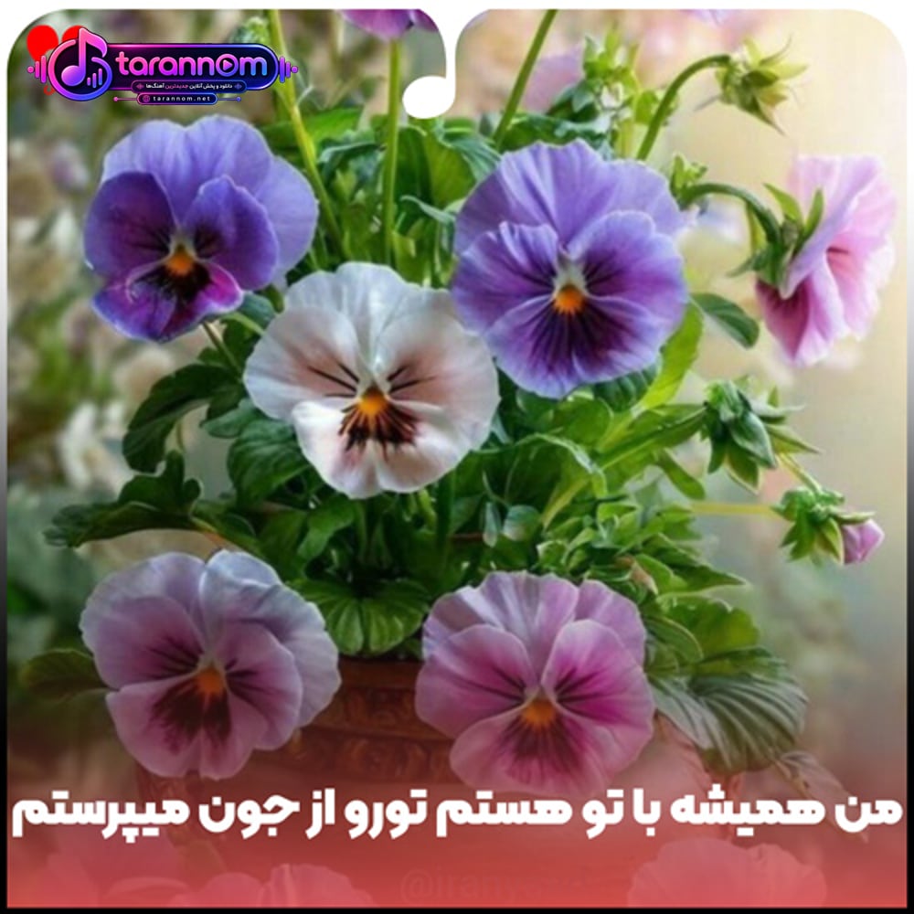 من همیشه با تو هستم تورو از جون میپرستم