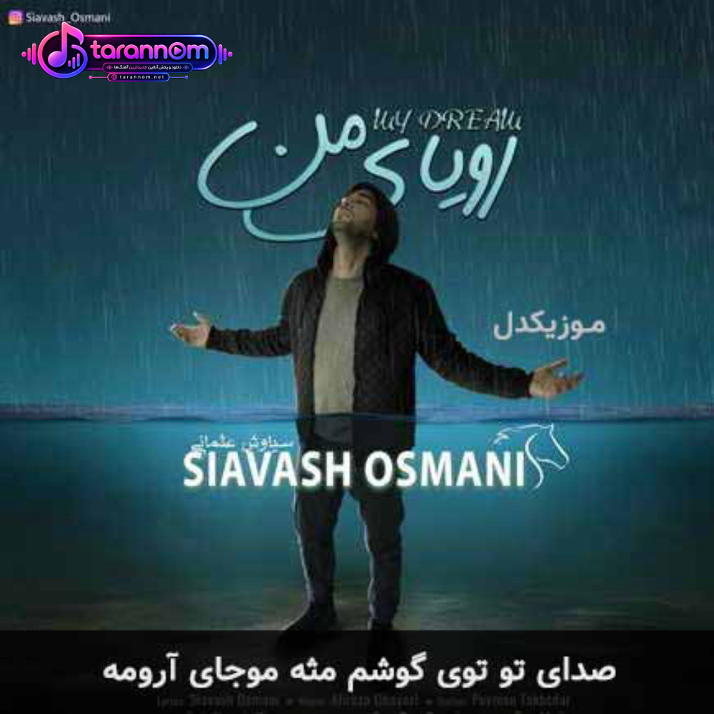 صدای تو توی گوشم مثه موجای آرومه