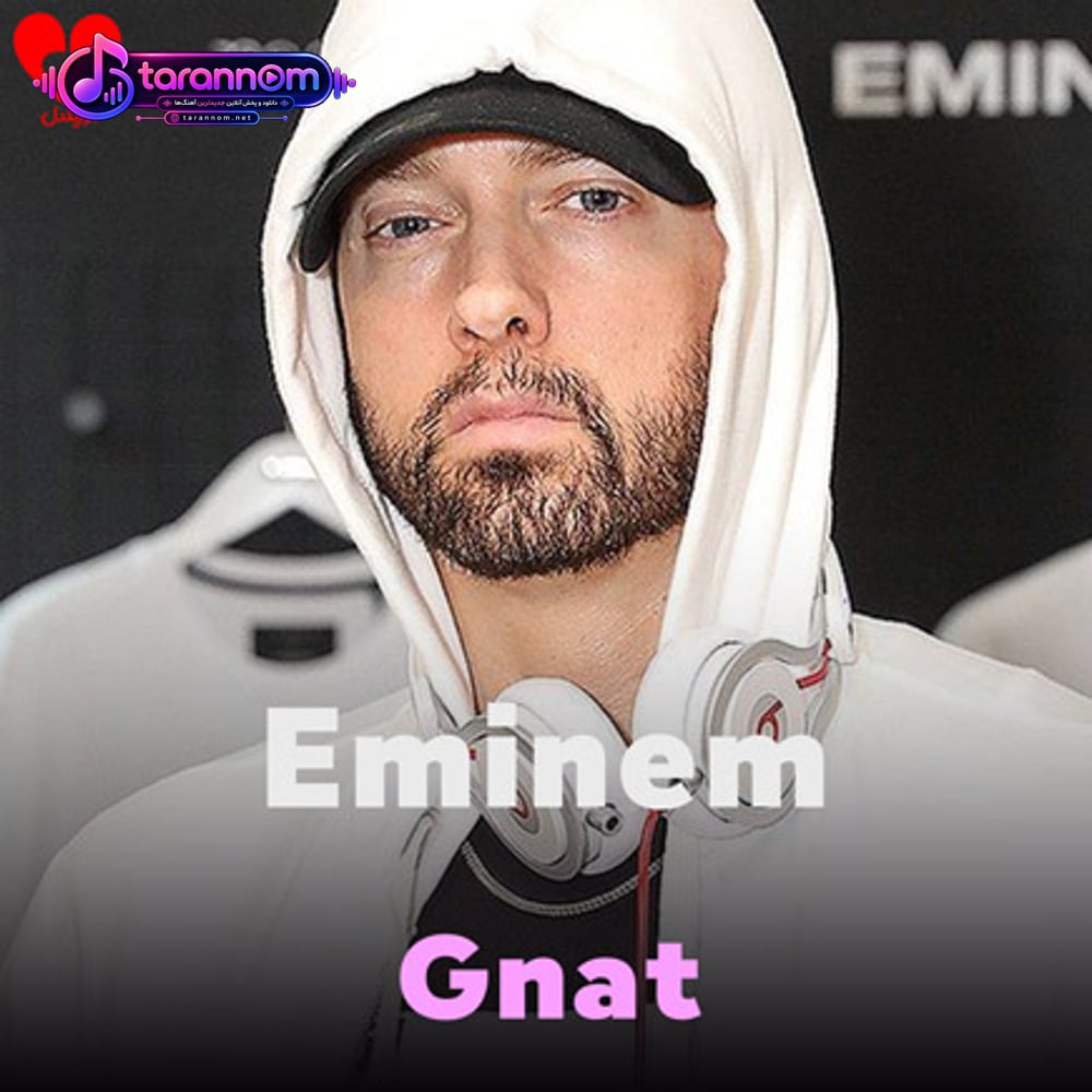 Gnat