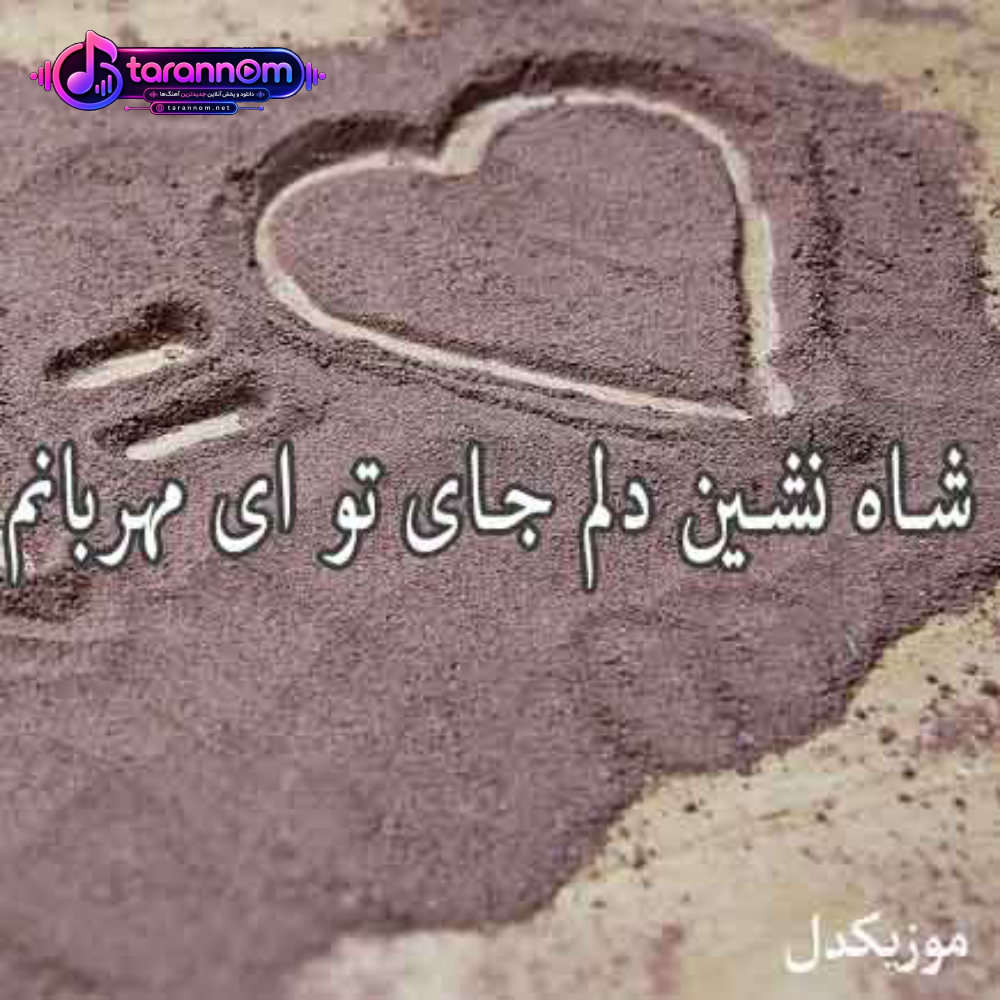 شاه نشین دلم جای